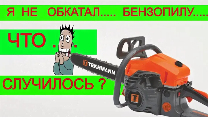 ✅ Заготовка Дров  Дешевой Бензопилой Tekhmann 🤷  Жизнь в Деревне | Обзор Бензопилы